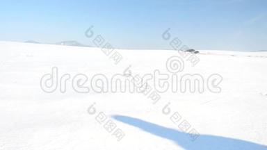 冬季游客带着雪鞋在雪地漂流中行走。 穿着粉色运动夹克的徒步旅行者和穿着雪鞋的黑色徒步旅行者